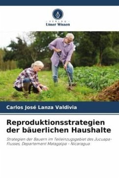 Reproduktionsstrategien der bäuerlichen Haushalte - Lanza Valdivia, Carlos José