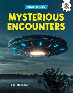 Mysterious Encounters - Stevenson, Paul