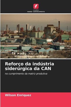 Reforço da indústria siderúrgica da CAN - Enriquez, Wilson