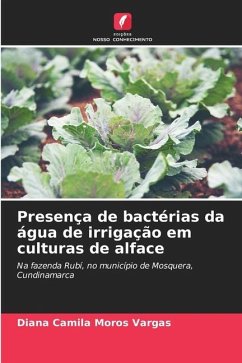 Presença de bactérias da água de irrigação em culturas de alface - Moros Vargas, Diana Camila