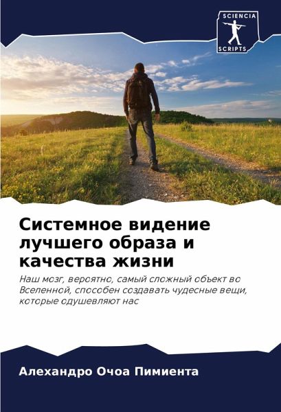 Sistemnoe widenie luchshego obraza i kachestwa zhizni