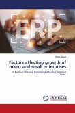 Factors affecting growth of micro and small enterprises