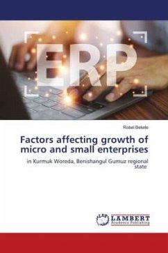 Factors affecting growth of micro and small enterprises - Bekele, Robel