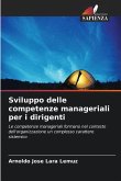 Sviluppo delle competenze manageriali per i dirigenti