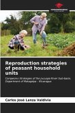 Reproduction strategies of peasant household units