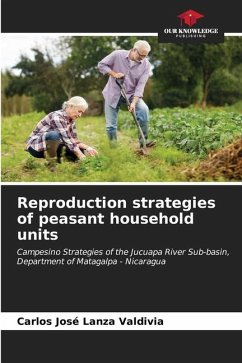 Reproduction strategies of peasant household units - Lanza Valdivia, Carlos José