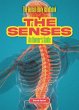 The Senses - Bild 1