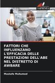 FATTORI CHE INFLUENZANO L'EFFICACIA DELLE PRESTAZIONI DELL'ABE NEL DISTRETTO DI AWBARE