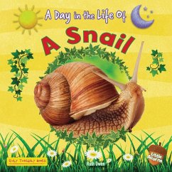 A Snail - Owen, Ruth