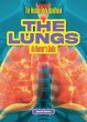 The Lungs - Bild 1