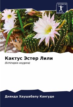 Cover Kaktus Jester Lili