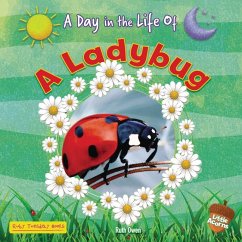 A Ladybug - Owen, Ruth