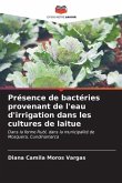 Présence de bactéries provenant de l'eau d'irrigation dans les cultures de laitue