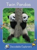 Twin Pandas