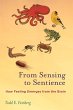 From Sensing to Sentience (eBook, ePUB) - Bild 1