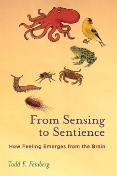 Cover From Sensing to Sentience (eBook, ePUB)