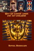 Wat we Kunnen Leren van het Verleden (eBook, ePUB)