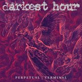 Perpetual   Terminal