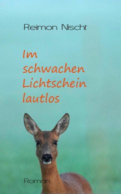 Cover Im schwachen Lichtschein lautlos (eBook, ePUB)