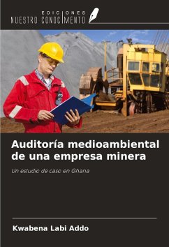 Cover Auditoría medioambiental de una empresa minera