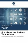 Grundlagen der Big Data-Verarbeitung