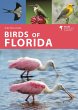 Birds of Florida - Bild 1