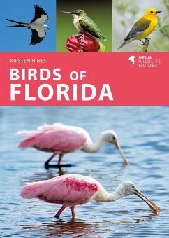 Birds of Florida - Hines, Kirsten