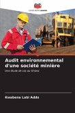 Audit environnemental d'une société minière