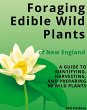 Foraging Edible Wild Plants of New... - Bild 1