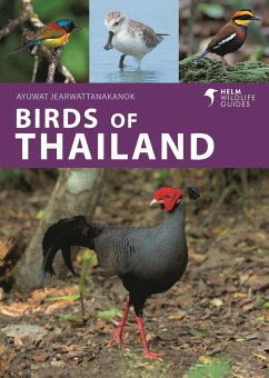 Birds of Thailand - Jearwattanakanok, Ayuwat