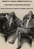 Sherlock & Watson: Behind Closed Doors (eBook, ePUB)