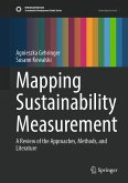 Mapping Sustainability Measurement (eBook, PDF)