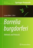 Borrelia burgdorferi (eBook, PDF)