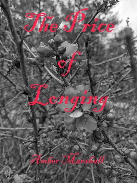 The Price of Longing (eBook, ePUB) The Price of Longing (eBook, ePUB)