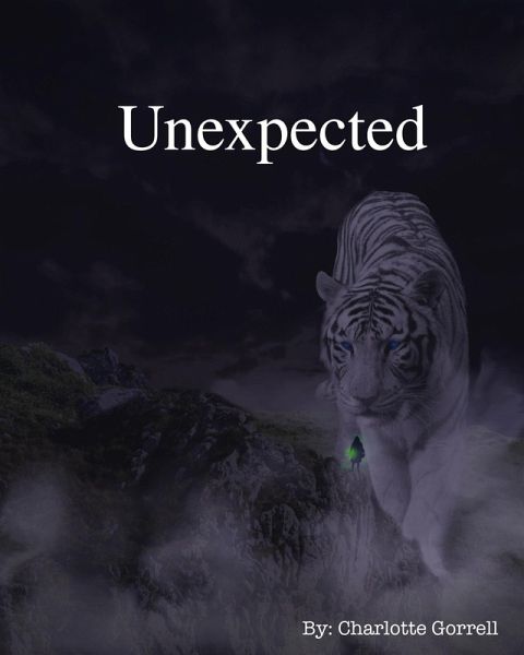 Unexpected (eBook, ePUB) Unexpected (eBook, ePUB)