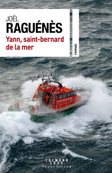 Yann, saint-bernard de la mer (eBook, ePUB)