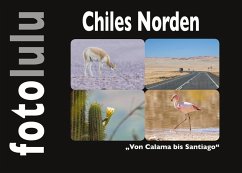 Chiles Norden (eBook, ePUB)