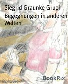 Begegnungen in anderen Welten (eBook, ePUB)