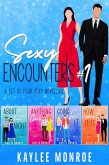 Sexy Encounters #1 (A Set of Four Sexy Novellas) (eBook, ePUB)