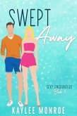 Swept Away (Sexy Encounters, #8) (eBook, ePUB)