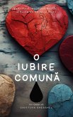 O iubire comuna: Labirintul incompatibilitatii dincolo de nevoi si iluzii (Romane, #1) (eBook, ePUB)