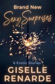 Brand New Sexy Surprises (eBook, ePUB) Brand New Sexy Surprises (eBook, ePUB)