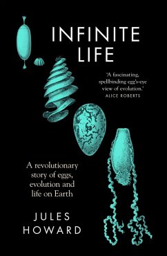 Infinite Life (eBook, ePUB) - Howards, Jules