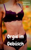 Orgie im Gebüsch (eBook, ePUB)