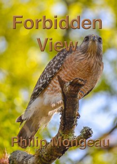 Cover Forbidden View (eBook, ePUB)