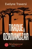 Traque à Dzamandzar (eBook, ePUB)