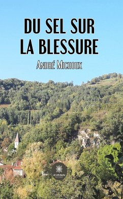 Du sel sur la blessure (eBook, ePUB) - Michoux, André