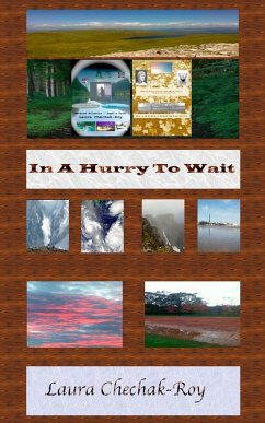 In A Hurry To Wait (eBook, ePUB) - Chechak-Roy, Laura