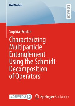 Characterizing Multiparticle Entanglement Using the Schmidt Decomposition of Operators (eBook, PDF) - Denker, Sophia