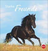 Pferde Postkartenkalender 2025 - Starke Freunde